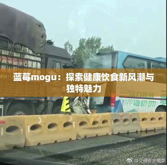 蓝莓mogu：探索健康饮食新风潮与独特魅力