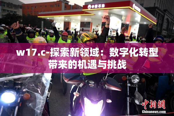 w17.c-探索新领域：数字化转型带来的机遇与挑战