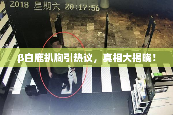 β白鹿扒胸引热议，真相大揭晓！