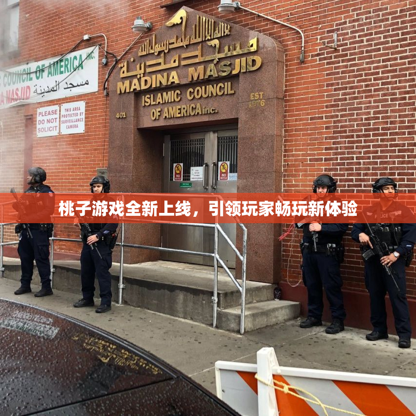 桃子游戏全新上线，引领玩家畅玩新体验