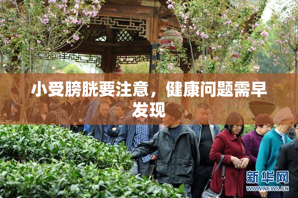 小受膀胱要注意，健康问题需早发现