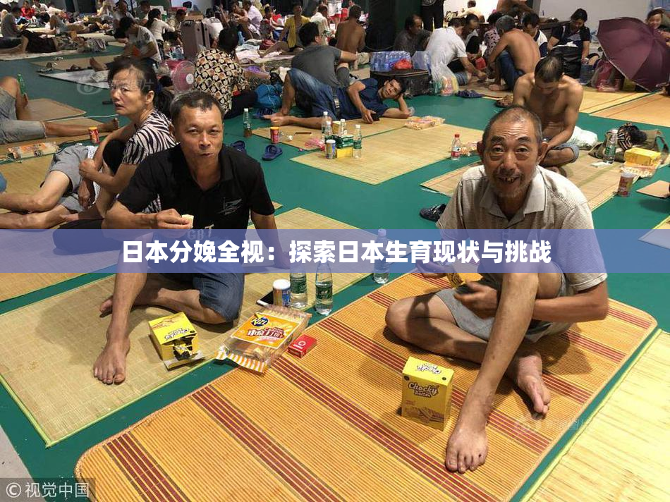 日本分娩全视：探索日本生育现状与挑战