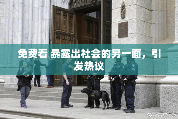 免费看 暴露出社会的另一面，引发热议