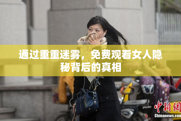 通过重重迷雾，免费观看女人隐秘背后的真相