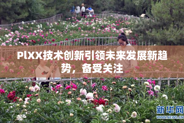 PlXX技术创新引领未来发展新趋势，备受关注