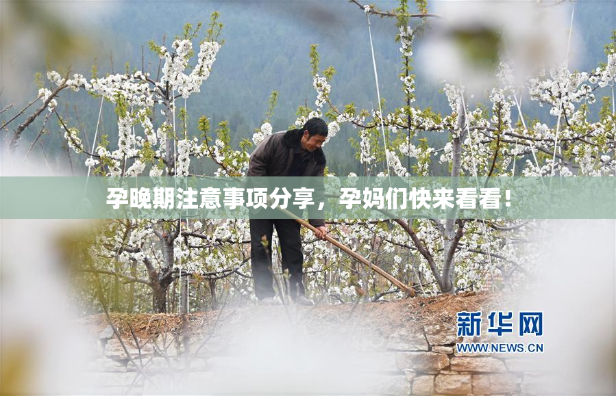孕晚期注意事项分享，孕妈们快来看看！