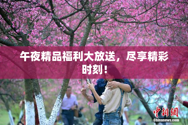 午夜精品福利大放送，尽享精彩时刻！