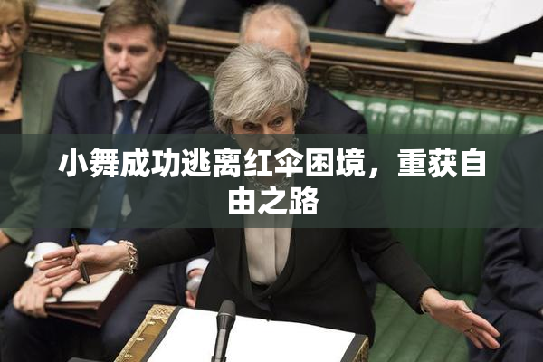 小舞成功逃离红伞困境，重获自由之路