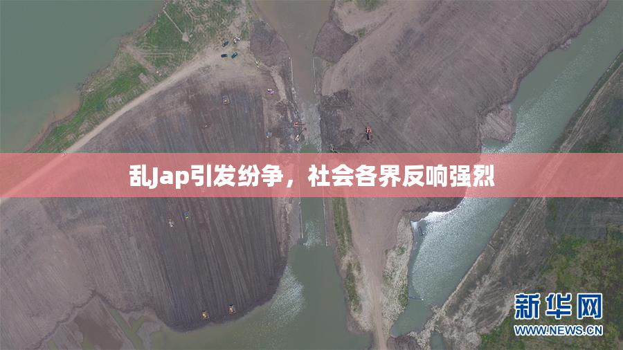 乱Jap引发纷争，社会各界反响强烈