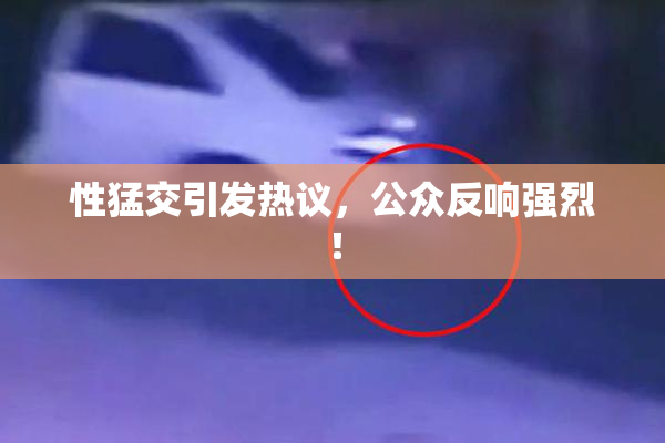 性猛交引发热议，公众反响强烈！