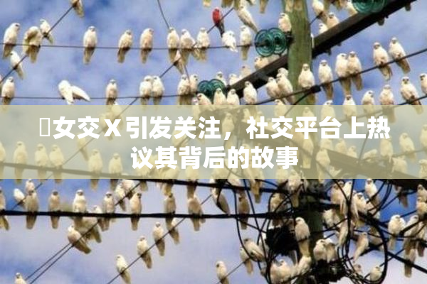 乣女交Ⅹ引发关注，社交平台上热议其背后的故事