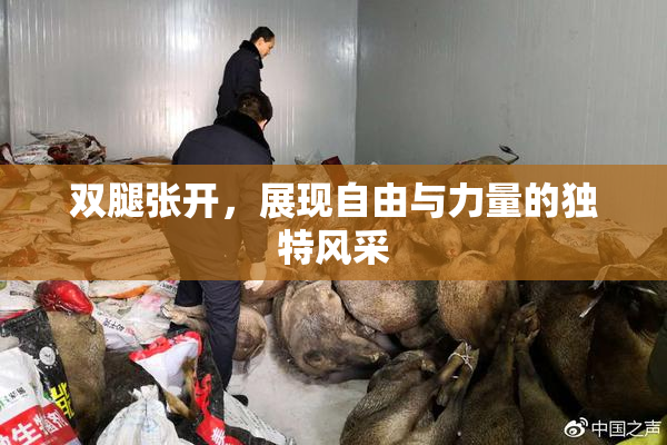 双腿张开，展现自由与力量的独特风采