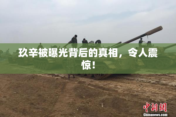 玖辛被曝光背后的真相，令人震惊！