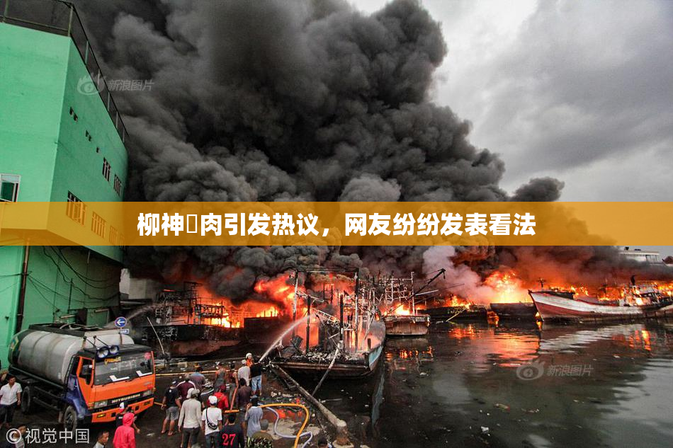 柳神婬肉引发热议，网友纷纷发表看法