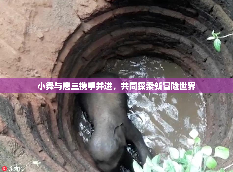 小舞与唐三携手并进，共同探索新冒险世界