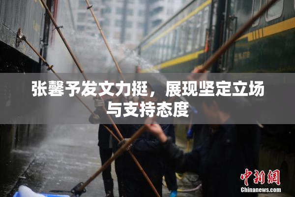 张馨予发文力挺，展现坚定立场与支持态度