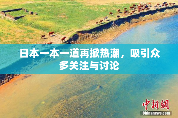 日本一本一道再掀热潮，吸引众多关注与讨论