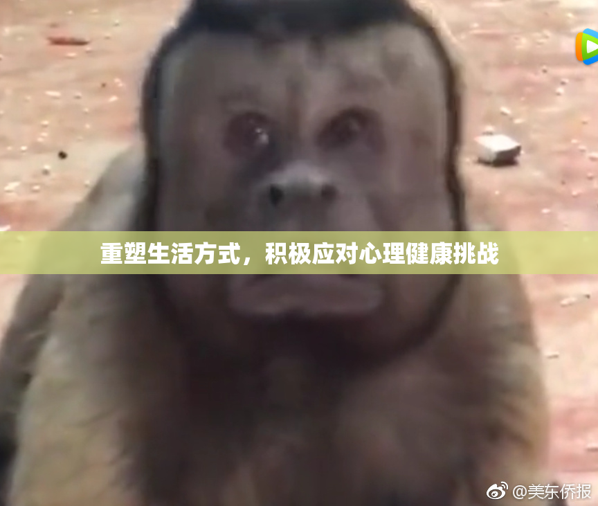 重塑生活方式，积极应对心理健康挑战
