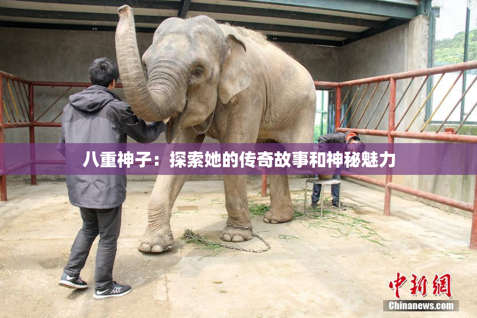 八重神子：探索她的传奇故事和神秘魅力