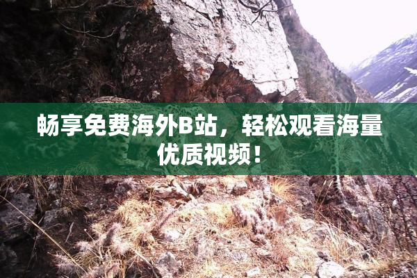 畅享免费海外B站，轻松观看海量优质视频！