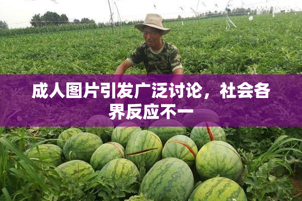 成人图片引发广泛讨论，社会各界反应不一