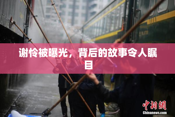 谢怜被曝光，背后的故事令人瞩目