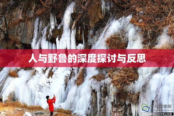 人与野鲁的深度探讨与反思