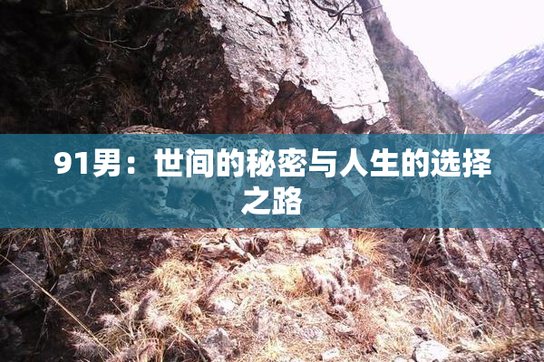 91男：世间的秘密与人生的选择之路