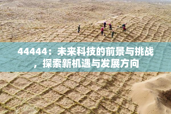 44444：未来科技的前景与挑战，探索新机遇与发展方向