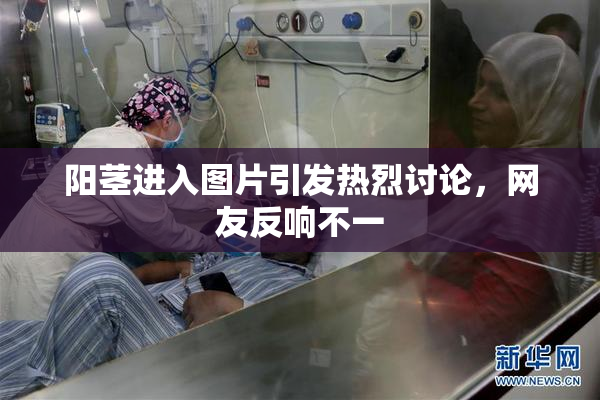 阳茎进入图片引发热烈讨论，网友反响不一