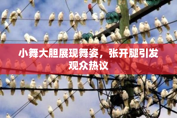 小舞大胆展现舞姿，张开腿引发观众热议