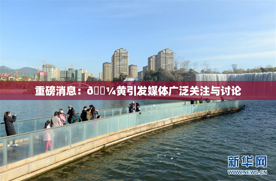 重磅消息：🌼黄引发媒体广泛关注与讨论