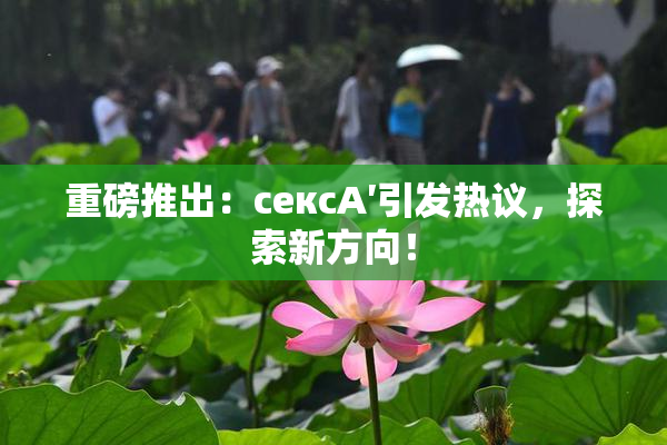 重磅推出：сексA′引发热议，探索新方向！