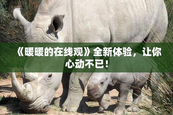 《暖暖的在线观》全新体验，让你心动不已！