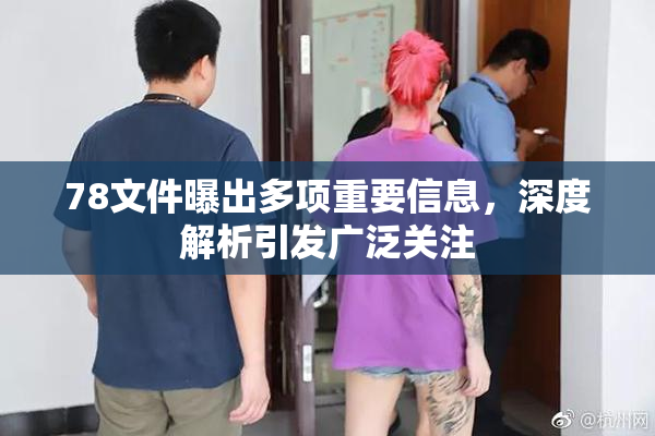 78文件曝出多项重要信息，深度解析引发广泛关注