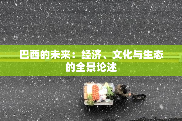 巴西的未来：经济、文化与生态的全景论述