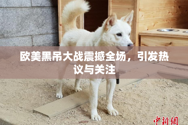 欧美黑吊大战震撼全场，引发热议与关注