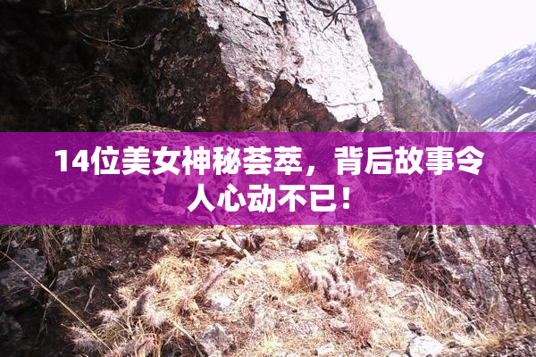 14位美女神秘荟萃，背后故事令人心动不已！