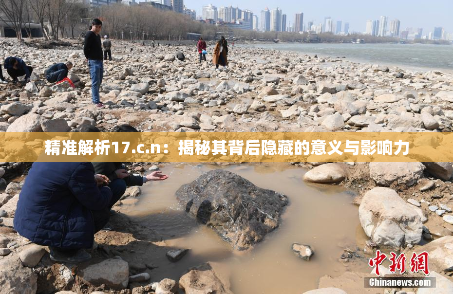 精准解析17.c.n：揭秘其背后隐藏的意义与影响力