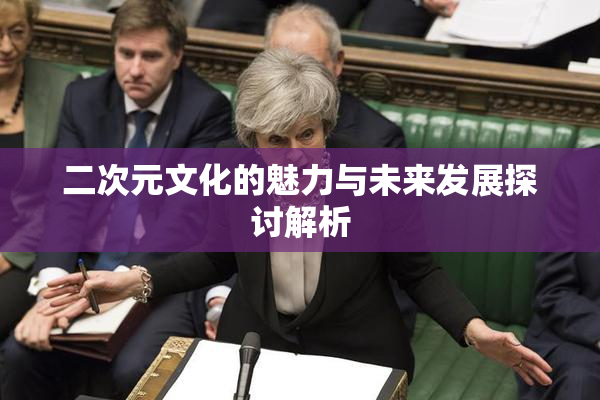 二次元文化的魅力与未来发展探讨解析