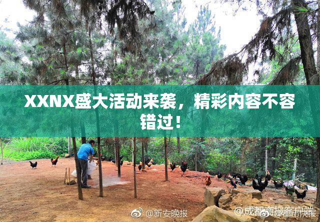 XXNX盛大活动来袭，精彩内容不容错过！