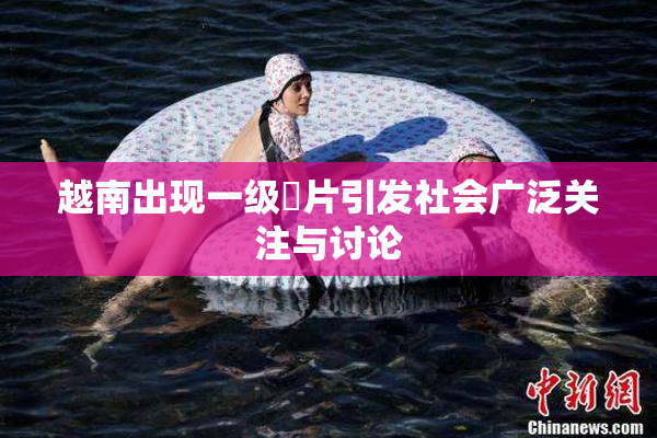 越南出现一级婬片引发社会广泛关注与讨论