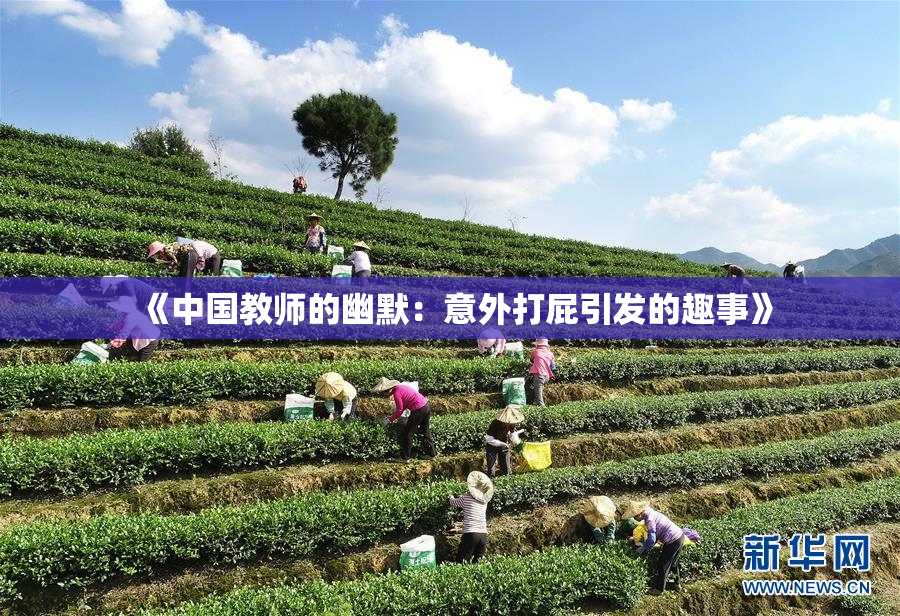 《中国教师的幽默：意外打屁引发的趣事》