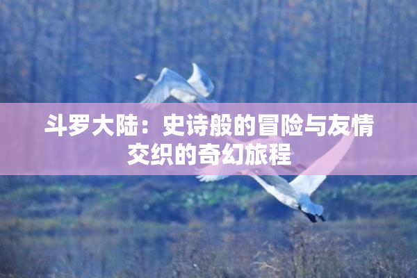 斗罗大陆：史诗般的冒险与友情交织的奇幻旅程