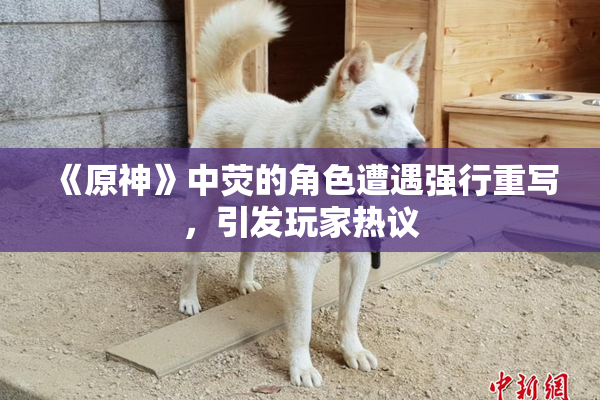 《原神》中荧的角色遭遇强行重写，引发玩家热议