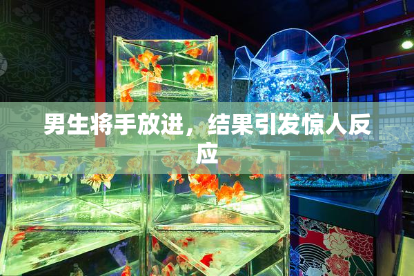 男生将手放进，结果引发惊人反应
