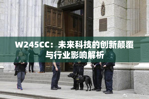 W245CC：未来科技的创新颠覆与行业影响解析