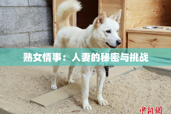 熟女情事：人妻的秘密与挑战