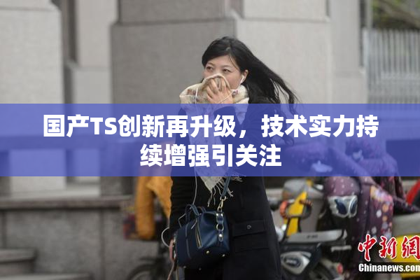 国产TS创新再升级，技术实力持续增强引关注