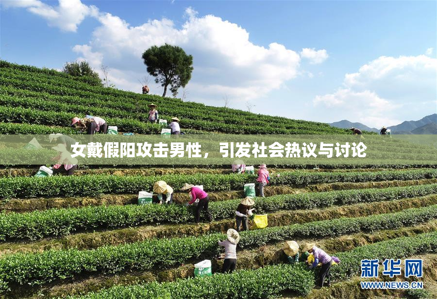 女戴假阳攻击男性，引发社会热议与讨论